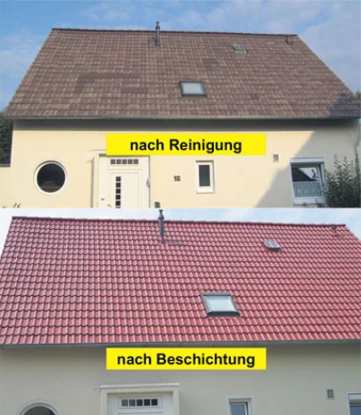 Dach reinigen lassen